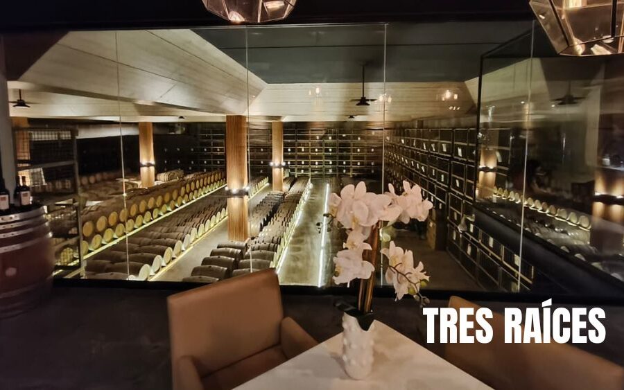 Tres Raíces arma vendimia de medallas y pone a Guanajuato a brindar con el mundo