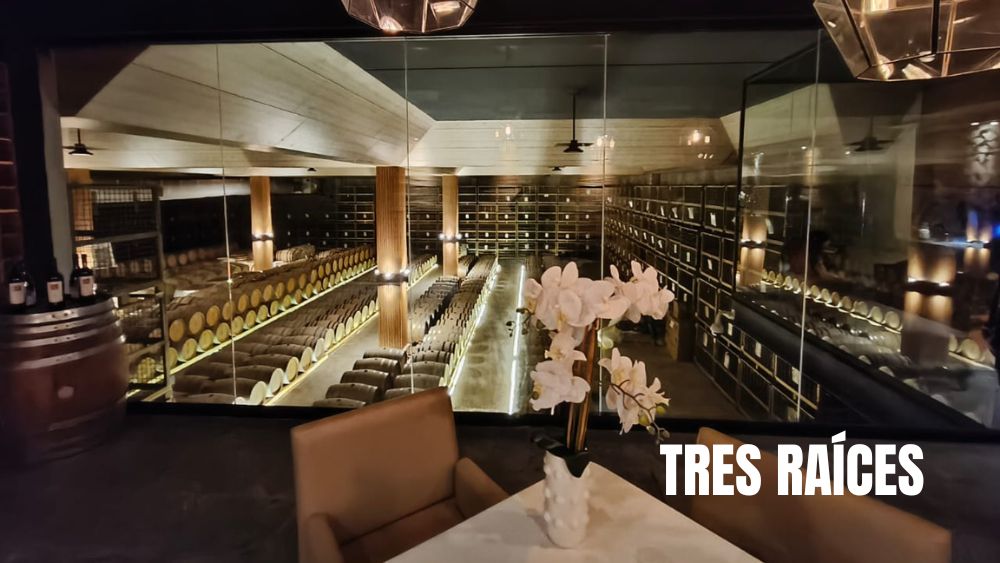 Tres Raíces arma vendimia de medallas y pone a Guanajuato a brindar con el mundo