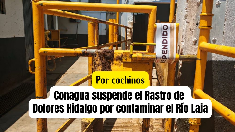 Cierran Rastro Municipal de Dolores Hidalgo por contaminar el Río Laja, que alimenta la Presa Allende
