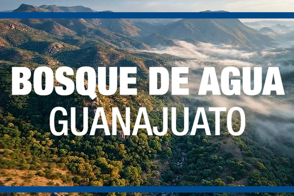 agua