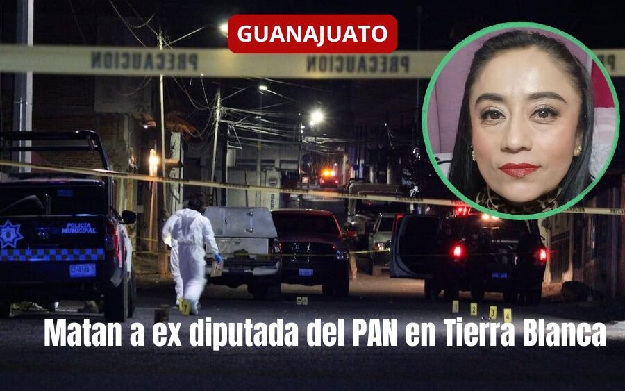 Balas silencian a Diputada federal del PAN en Tierra Blanca; crimen sacude a Guanajuato
