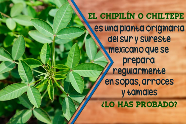 Cocineras