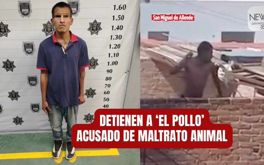 Detienen en Las Cuevitas a ‘El Pollo’: su papá también lo denunció por maltrato animal