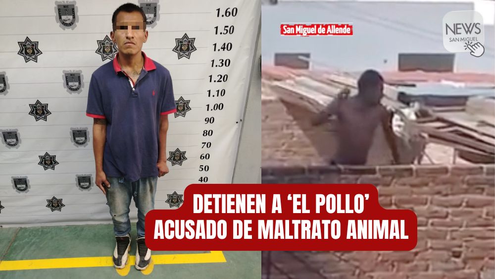 Detienen en Las Cuevitas a ‘El Pollo’: su papá también lo denunció por maltrato animal
